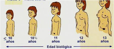 Sobre la cabeza del miembro es pequeño treschinki